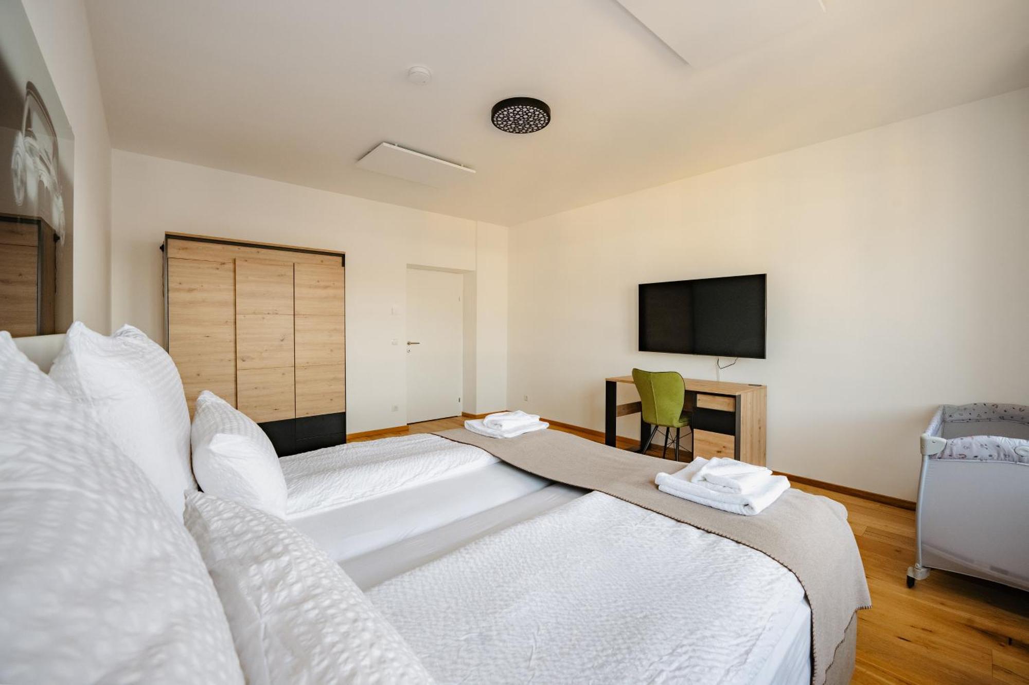 Tamliving Center Luxury 4 Rooms Smart Tv Kitchen Great View Graz Bagian luar foto